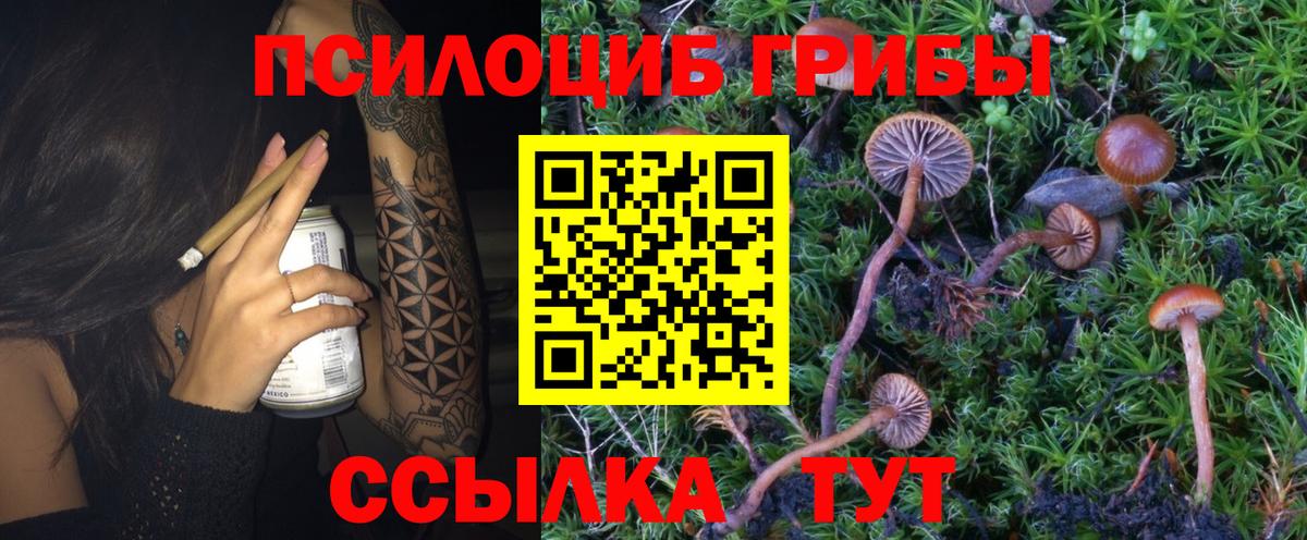 Галлюциногенные грибы Magic Shrooms Ленинск-Кузнецкий