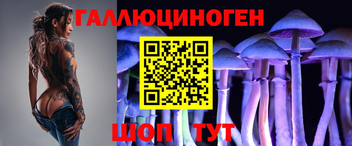 Псилоцибиновые грибы Psilocybe  Вход с VPN  Галлюциногенные грибы Psilocybe  Ленинск-Кузнецкий 